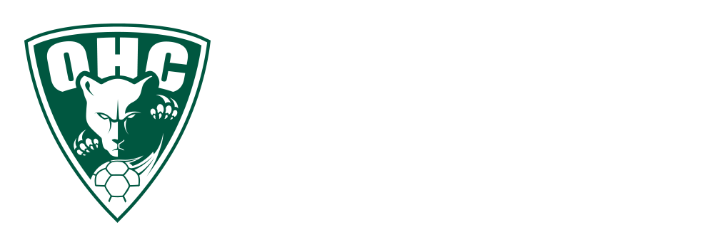 Wir sind offizieller Sponsoringpartner des Oranienburger HC